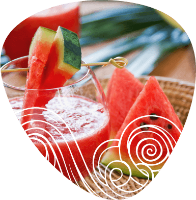 moti-alimentos moti-alimentos