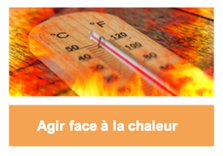 4. Agir face à la chaleur