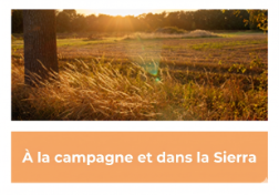 campagne